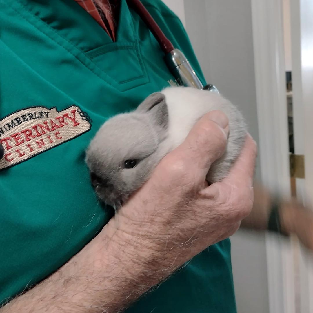 Doc Holding Rabbit