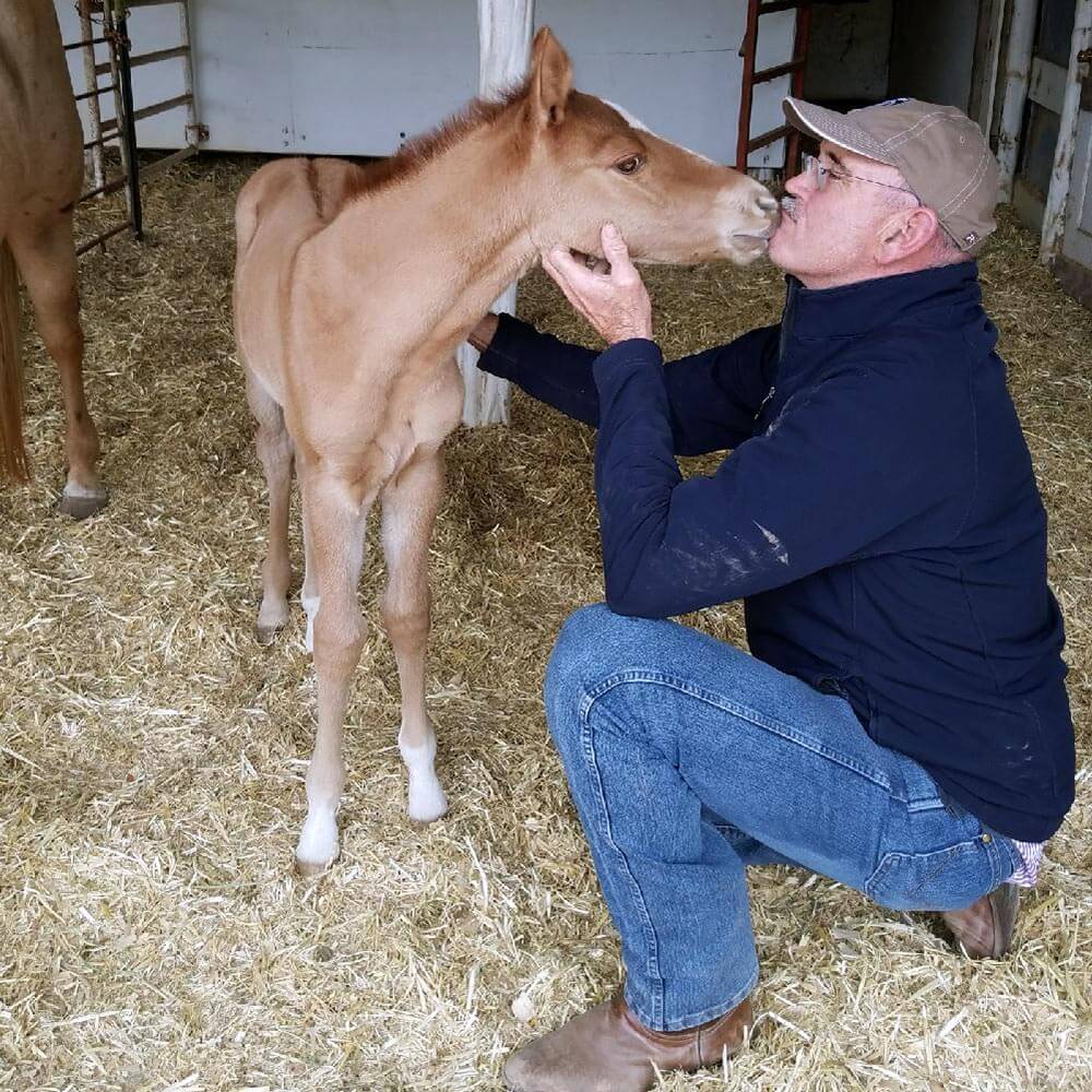 Kisses From Baby Horse