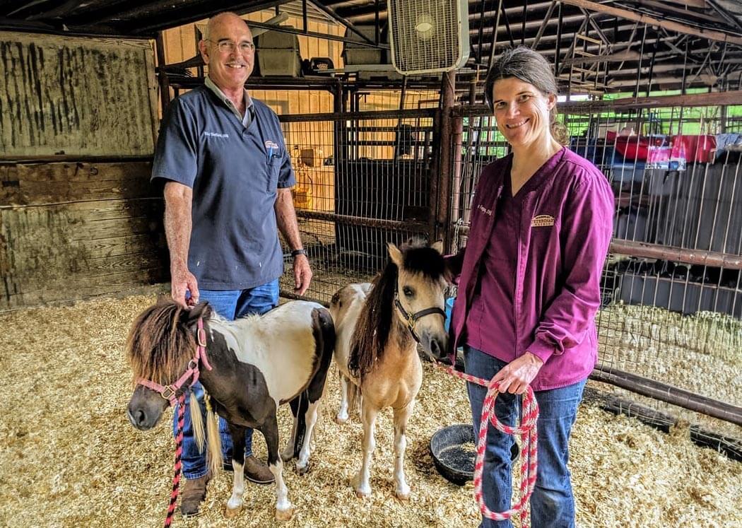 Veterinarians At Wimberley Veterinary Clinic