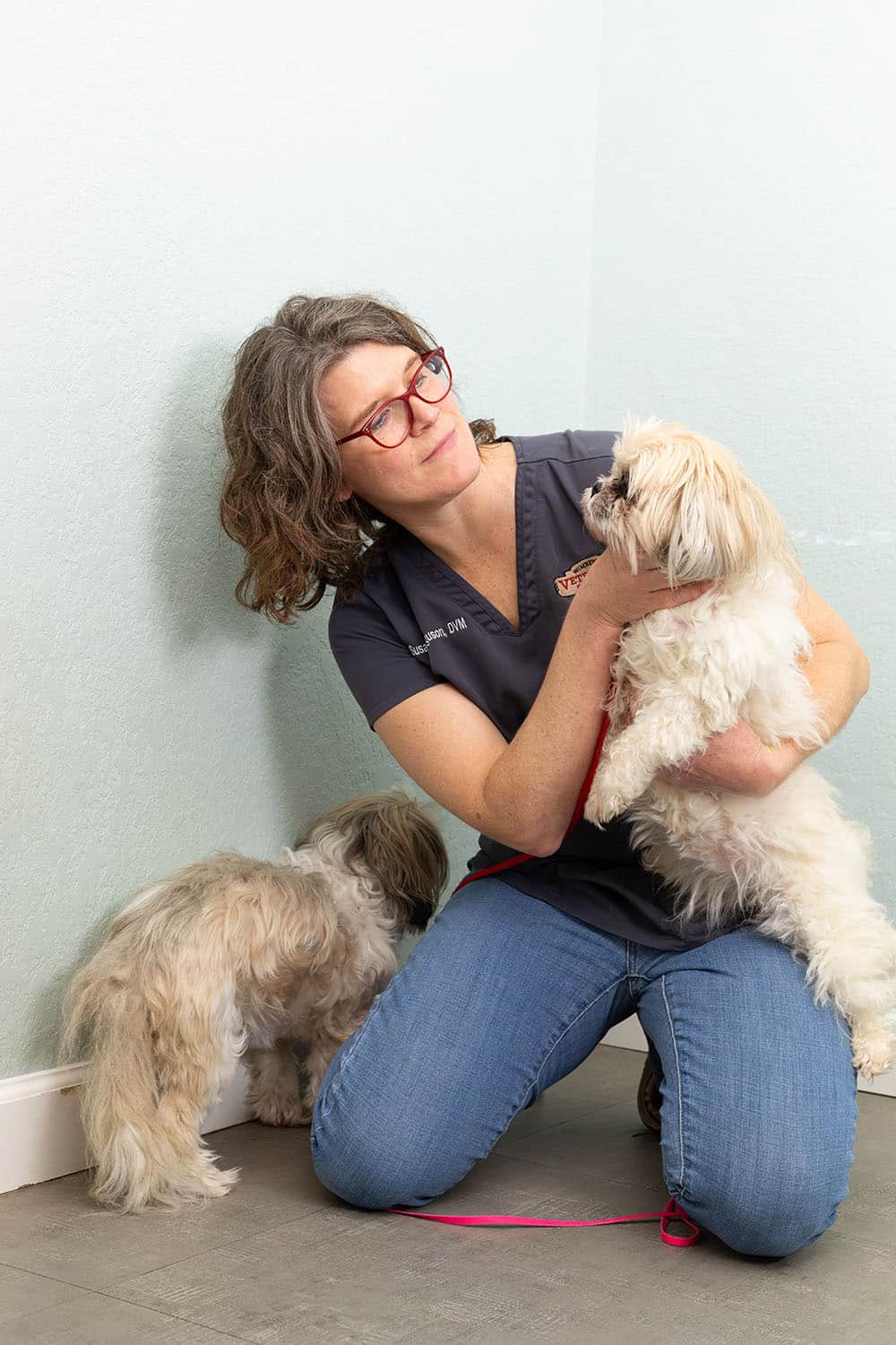 pet vaccination icon