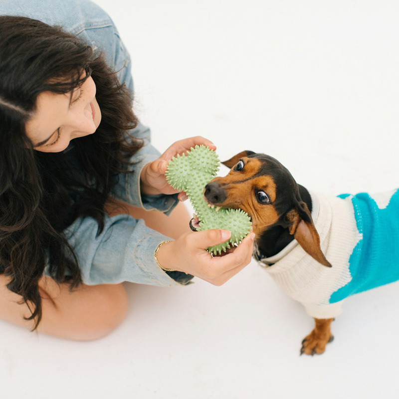 Woman playing tug-of-war with a small black and brown