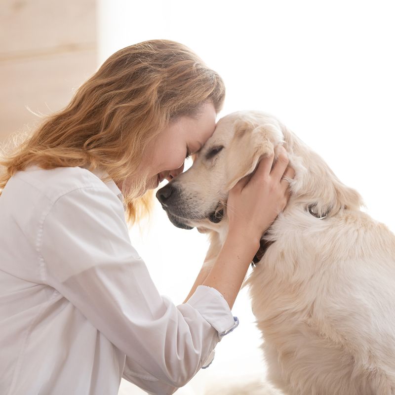 A person is petting their dog on the couch