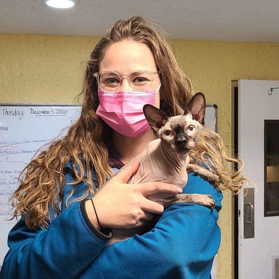cat visiting clinic for an emergency