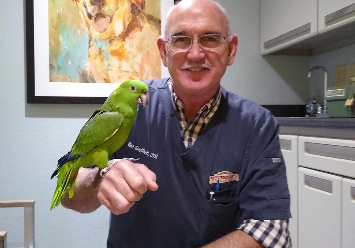 Dr. Sheffield holding multi-colored bird