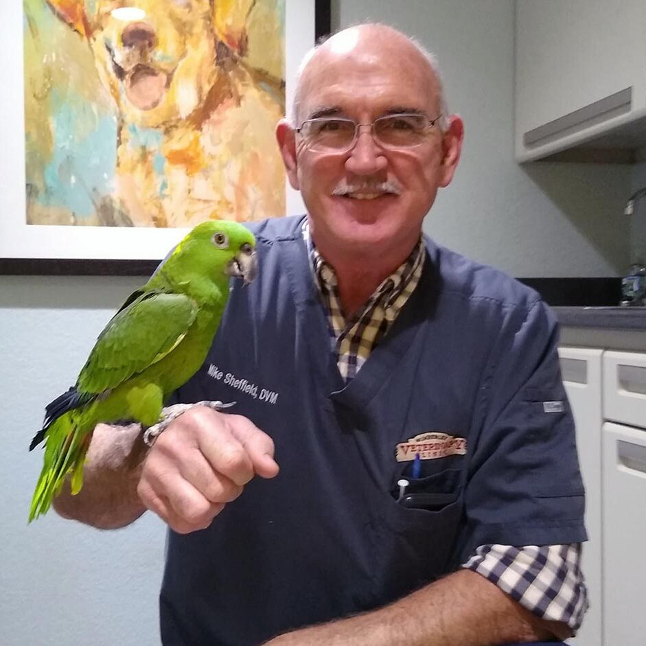 Dr. Sheffield holding multi-colored bird