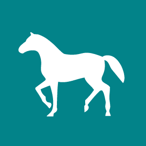 Horse Care Icon