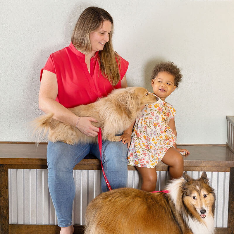 In Lobby With Young Child And Two Dogs