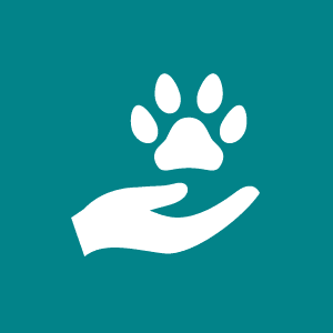 Pet Wellness Care Icon